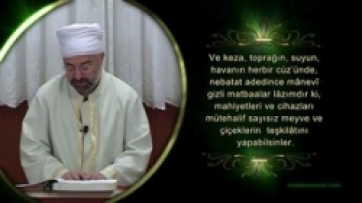 Mesnevî-i Nuriye, Reşhalar; 9.Ders