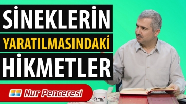 Sineklerin Yaratılmasındaki Hikmetler