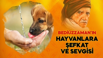 Hayvan Hukuku!