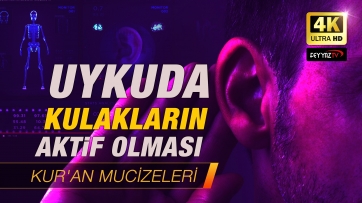 Uykuda kulakların aktif olması