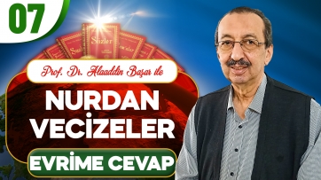 Nurdan Vecizeler: Evrime Cevap