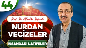 Nurdan Vecizeler: İnsandaki Latifeler