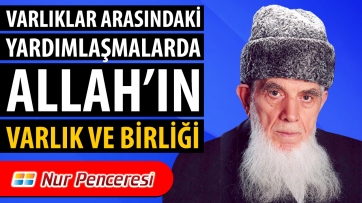 Varlıklar Arasındaki Yardımlaşmalarda Allah’ın Varlık ve Birliği