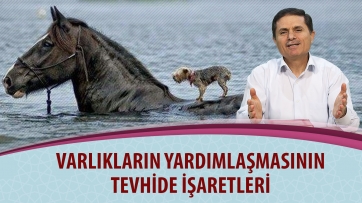 Varlıkların yardımlaşmasının tevhide işaretleri