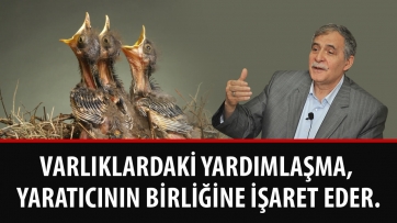 Varlıklardaki Yardımlaşma, Yaratıcının Birliğine İşaret Eder!