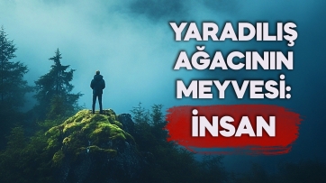 Yaradılış ağacının meyvesi: İnsan