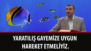 Yaratılış Gayemize Uygun Hareket Etmeliyiz.