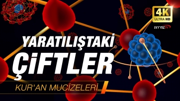 Yaratılıştaki Çiftler