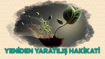 Diriliş Hakikati